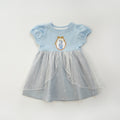 Elsa Princess Dress Girls' Dress